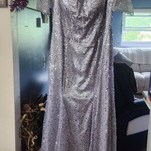 Dress 18 w missacc new